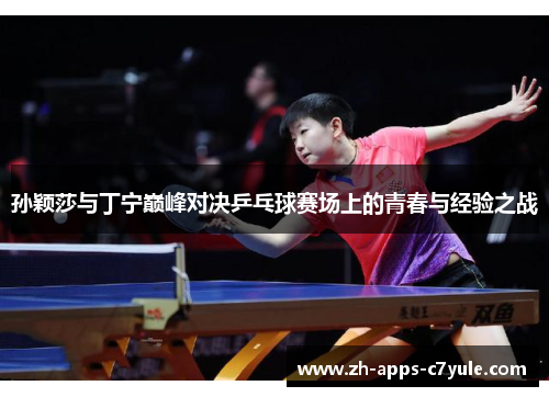 孙颖莎与丁宁巅峰对决乒乓球赛场上的青春与经验之战